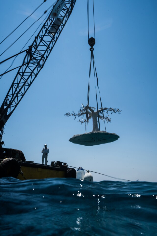 MUSAN's sculptures were transported to the site using boats and craned into position